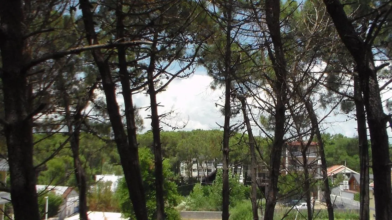 Hotel Temali 2 0*, Velipojë Albânia